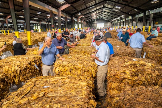 Tobacco Import and Sales License in Korea — 2026 Complete Guide